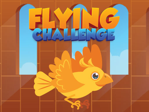 Flying Challenge gameplay